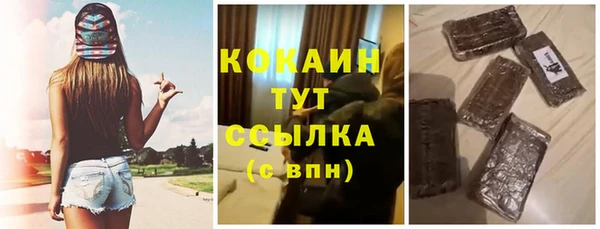 твердый Осинники