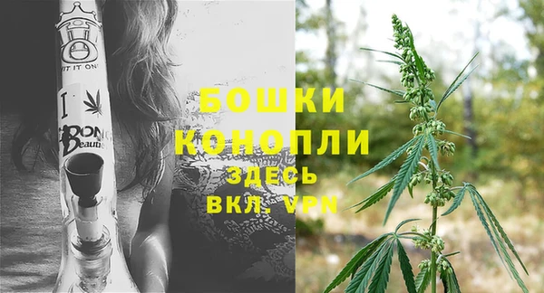 прущие грибы Остров
