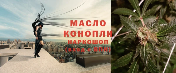 твердый Осинники