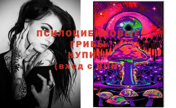 хмурый Ветлуга