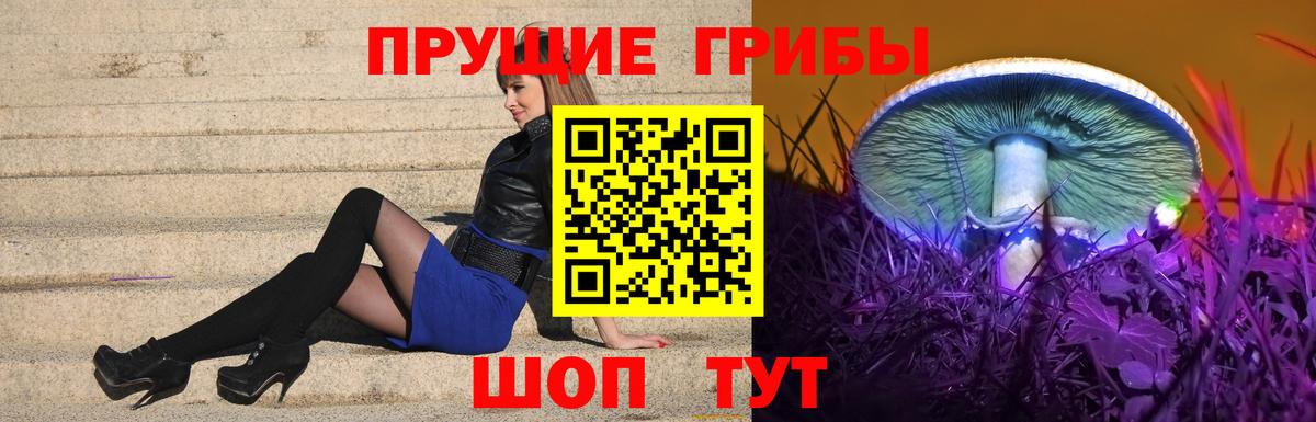 Псилоцибиновые грибы мухоморы Старая Русса